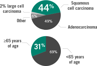 In the NSCLC study, 44% of patients had squamous cell carcinoma, 49% had adenocarcinoma, 2% had large cell carcinoma, and 6% had other types of NSCLC. 31% were ≥65 years of age, and 69% were <65 years of age.