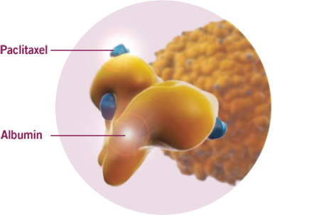 ABRAXANE is an albumin-bound nanoparticle formulation