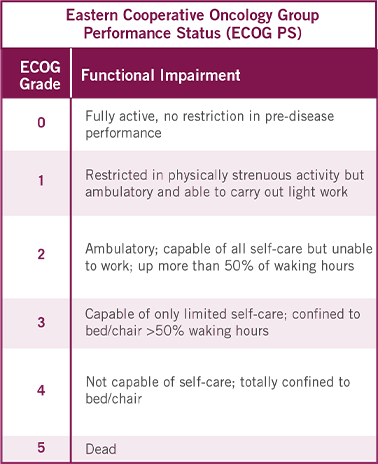 Eastern Cooperative Oncology Group Performance Status (ECOG PS)