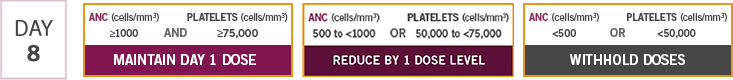 Day 8 adjust tretament as necessary within the cycle based on ANC and platelet counts