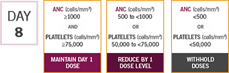 Day 8 adjust tretament as necessary within the cycle based on ANC and platelet counts